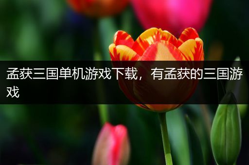 孟获三国单机游戏下载，有孟获的三国游戏