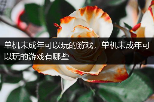 单机未成年可以玩的游戏，单机未成年可以玩的游戏有哪些