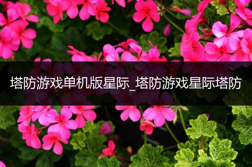 塔防游戏单机版星际_塔防游戏星际塔防