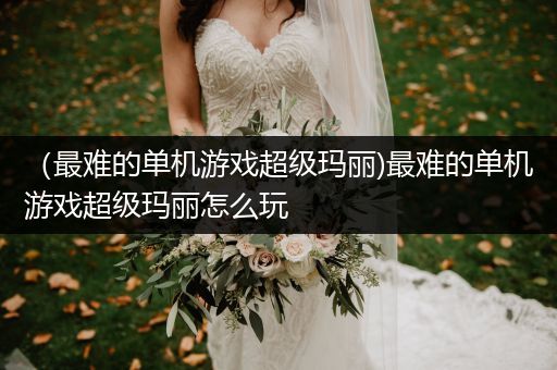 （最难的单机游戏超级玛丽)最难的单机游戏超级玛丽怎么玩
