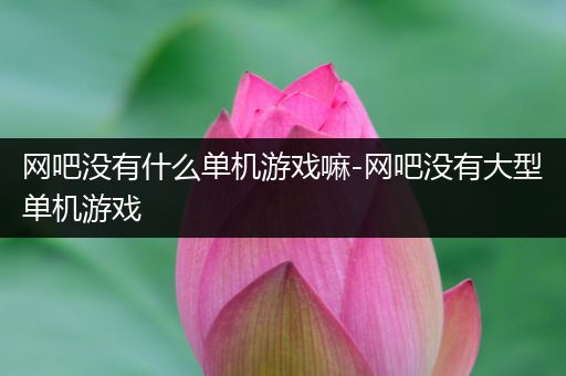 网吧没有什么单机游戏嘛-网吧没有大型单机游戏