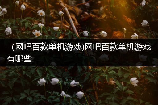 （网吧百款单机游戏)网吧百款单机游戏有哪些