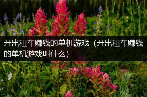 开出租车赚钱的单机游戏（开出租车赚钱的单机游戏叫什么）