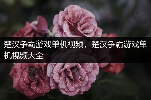 楚汉争霸游戏单机视频，楚汉争霸游戏单机视频大全
