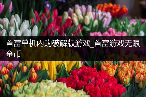 首富单机内购破解版游戏_首富游戏无限金币