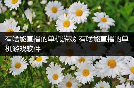 有啥能直播的单机游戏_有啥能直播的单机游戏软件