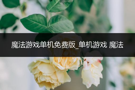 魔法游戏单机免费版_单机游戏 魔法