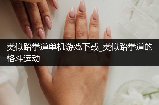 类似跆拳道单机游戏下载_类似跆拳道的格斗运动