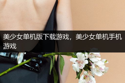 美少女单机版下载游戏，美少女单机手机游戏