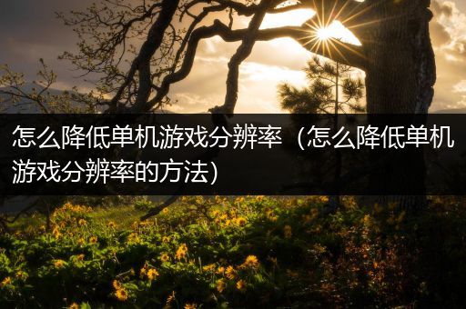 怎么降低单机游戏分辨率（怎么降低单机游戏分辨率的方法）
