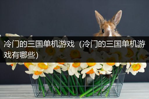 冷门的三国单机游戏（冷门的三国单机游戏有哪些）