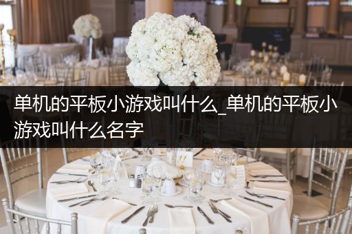 单机的平板小游戏叫什么_单机的平板小游戏叫什么名字