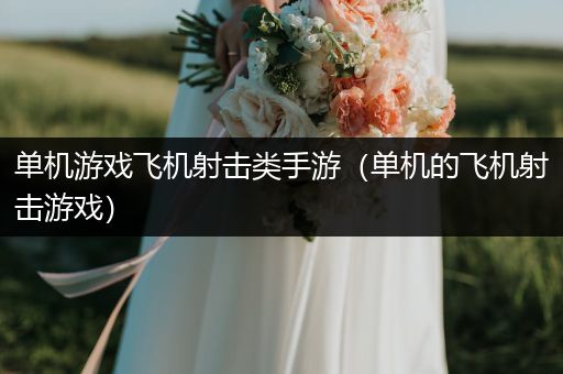 单机游戏飞机射击类手游（单机的飞机射击游戏）