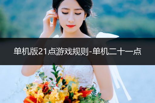 单机版21点游戏规则-单机二十一点