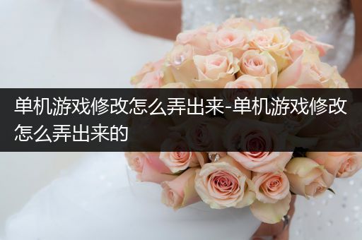 单机游戏修改怎么弄出来-单机游戏修改怎么弄出来的