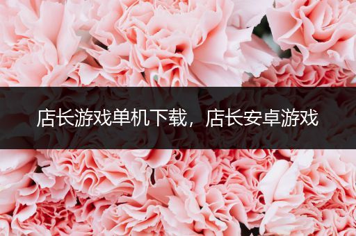店长游戏单机下载，店长安卓游戏