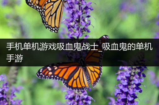 手机单机游戏吸血鬼战士_吸血鬼的单机手游