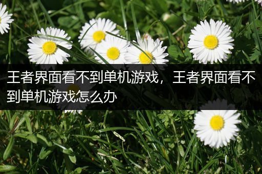 王者界面看不到单机游戏，王者界面看不到单机游戏怎么办