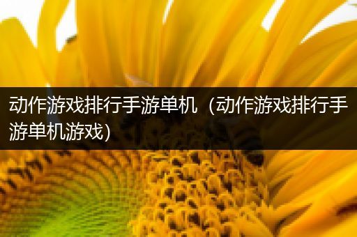 动作游戏排行手游单机（动作游戏排行手游单机游戏）
