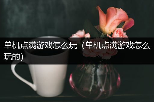 单机点满游戏怎么玩（单机点满游戏怎么玩的）
