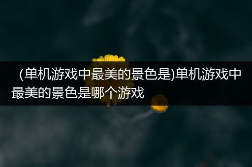 （单机游戏中最美的景色是)单机游戏中最美的景色是哪个游戏