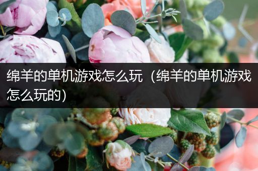 绵羊的单机游戏怎么玩（绵羊的单机游戏怎么玩的）
