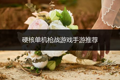 硬核单机枪战游戏手游推荐