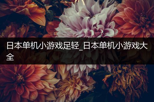 日本单机小游戏足轻_日本单机小游戏大全