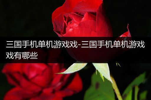 三国手机单机游戏戏-三国手机单机游戏戏有哪些