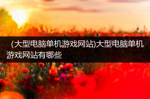 （大型电脑单机游戏网站)大型电脑单机游戏网站有哪些