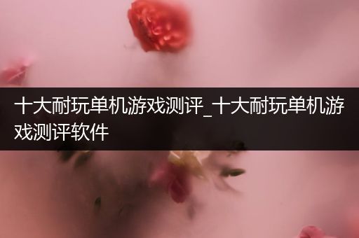 十大耐玩单机游戏测评_十大耐玩单机游戏测评软件