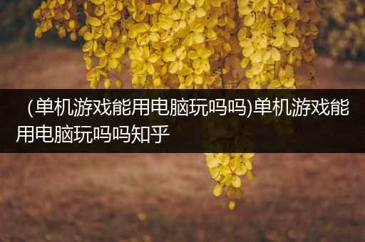 （单机游戏能用电脑玩吗吗)单机游戏能用电脑玩吗吗知乎