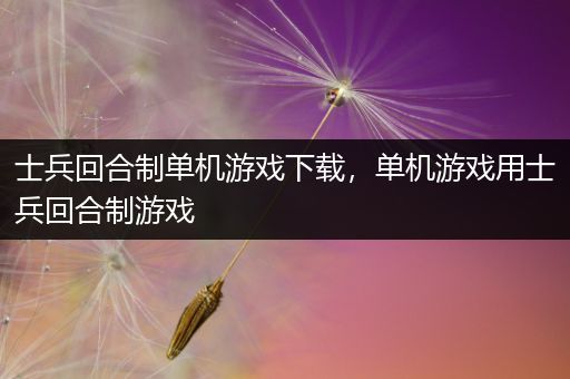 士兵回合制单机游戏下载，单机游戏用士兵回合制游戏