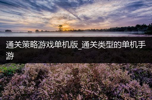 通关策略游戏单机版_通关类型的单机手游