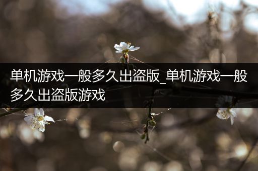 单机游戏一般多久出盗版_单机游戏一般多久出盗版游戏