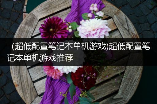 （超低配置笔记本单机游戏)超低配置笔记本单机游戏推荐