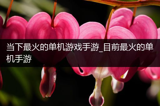 当下最火的单机游戏手游_目前最火的单机手游
