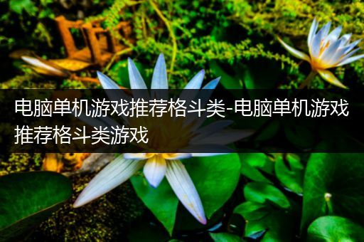 电脑单机游戏推荐格斗类-电脑单机游戏推荐格斗类游戏