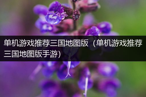 单机游戏推荐三国地图版（单机游戏推荐三国地图版手游）