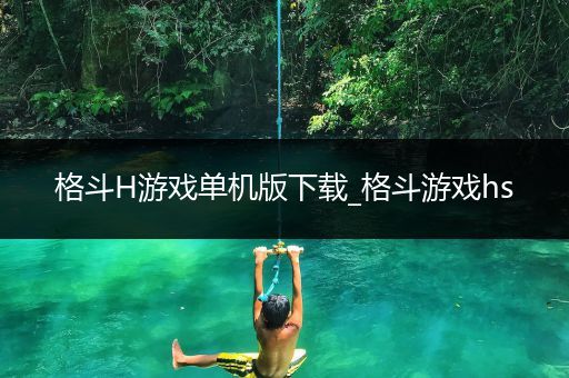 格斗H游戏单机版下载_格斗游戏hs