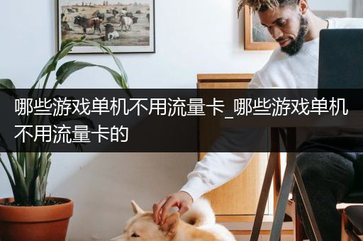 哪些游戏单机不用流量卡_哪些游戏单机不用流量卡的