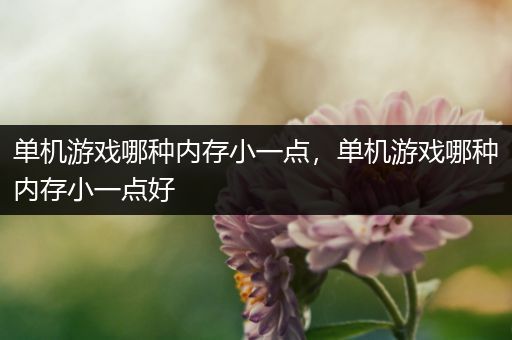 单机游戏哪种内存小一点，单机游戏哪种内存小一点好