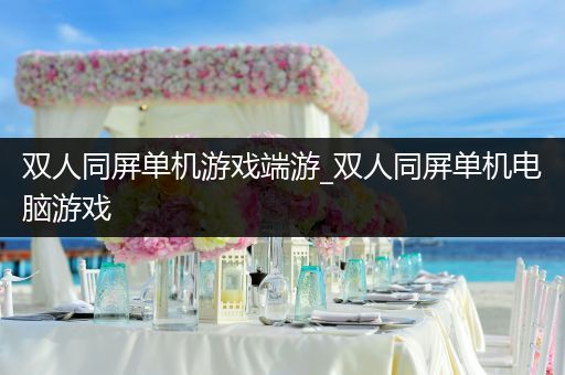 双人同屏单机游戏端游_双人同屏单机电脑游戏