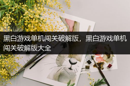 黑白游戏单机闯关破解版，黑白游戏单机闯关破解版大全