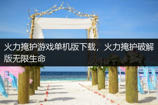 火力掩护游戏单机版下载，火力掩护破解版无限生命