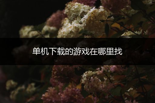 单机下载的游戏在哪里找