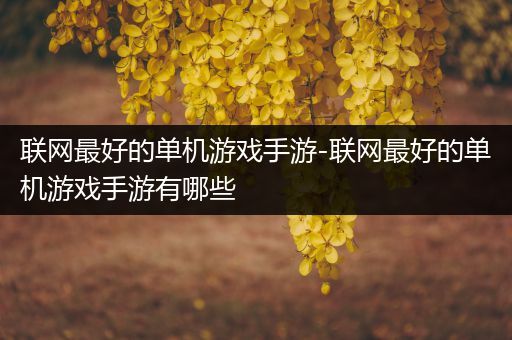 联网最好的单机游戏手游-联网最好的单机游戏手游有哪些
