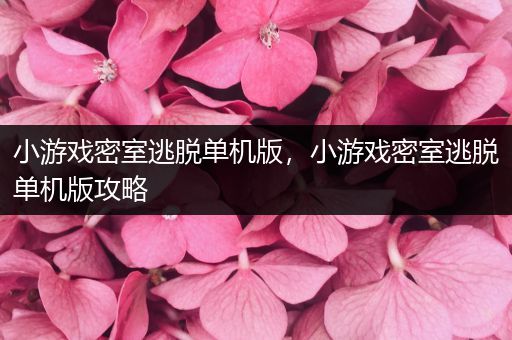 小游戏密室逃脱单机版，小游戏密室逃脱单机版攻略