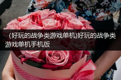 （好玩的战争类游戏单机)好玩的战争类游戏单机手机版