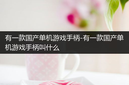 有一款国产单机游戏手柄-有一款国产单机游戏手柄叫什么